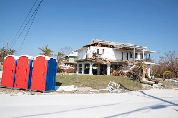 Trusted Bayfield, CO Tree Removal Experts
